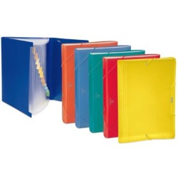 Cartella portadocumenti a soffietto con elastico 12 scomparti 33x24x4cm