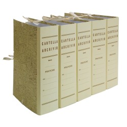 Faldone Cartella Archivio dorso 10 con Legacci