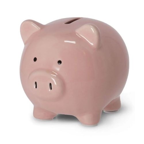 Savadanaio Maialino save money