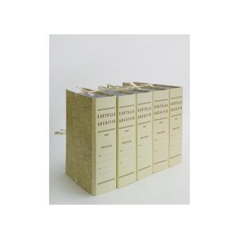 Faldone Cartella Archivio dorso 18 con legacci