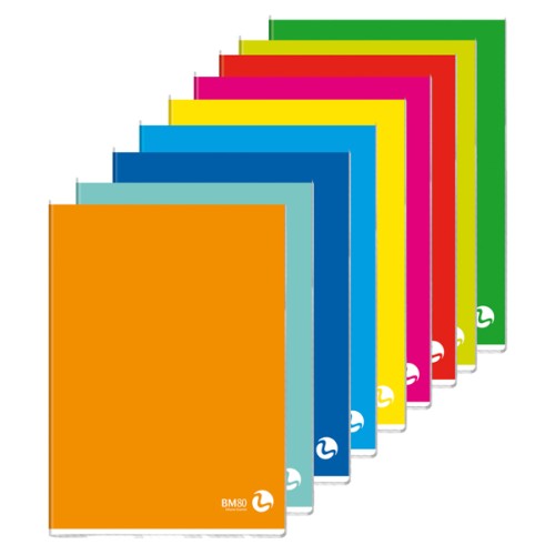 Maxi Quaderno A4 80gr 80fg+1 a 2 colonne -...