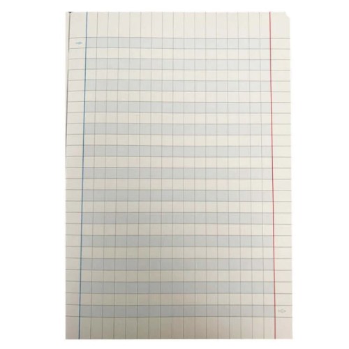 Maxi Quaderno Didattico A4 quadretto 10mm...