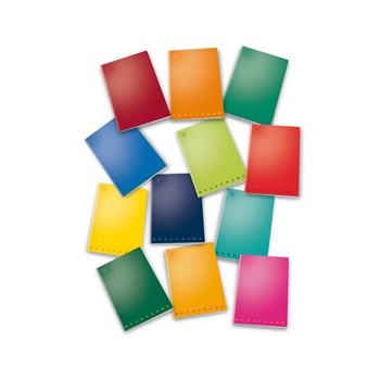 Maxiquaderno a4 40fg+2 80gr bianco monocromo pigna 2