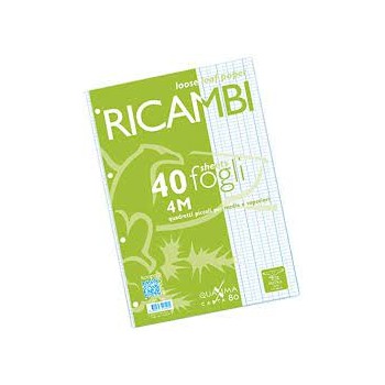 Ricambi A4 non rinforzati per raccoglitore ad anelli 4 mm...